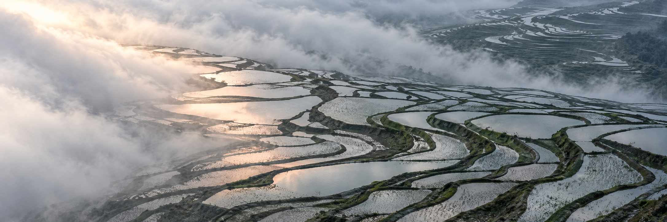The Yuanyang rice terraces in Yunnan, surrounded by morning light and mist